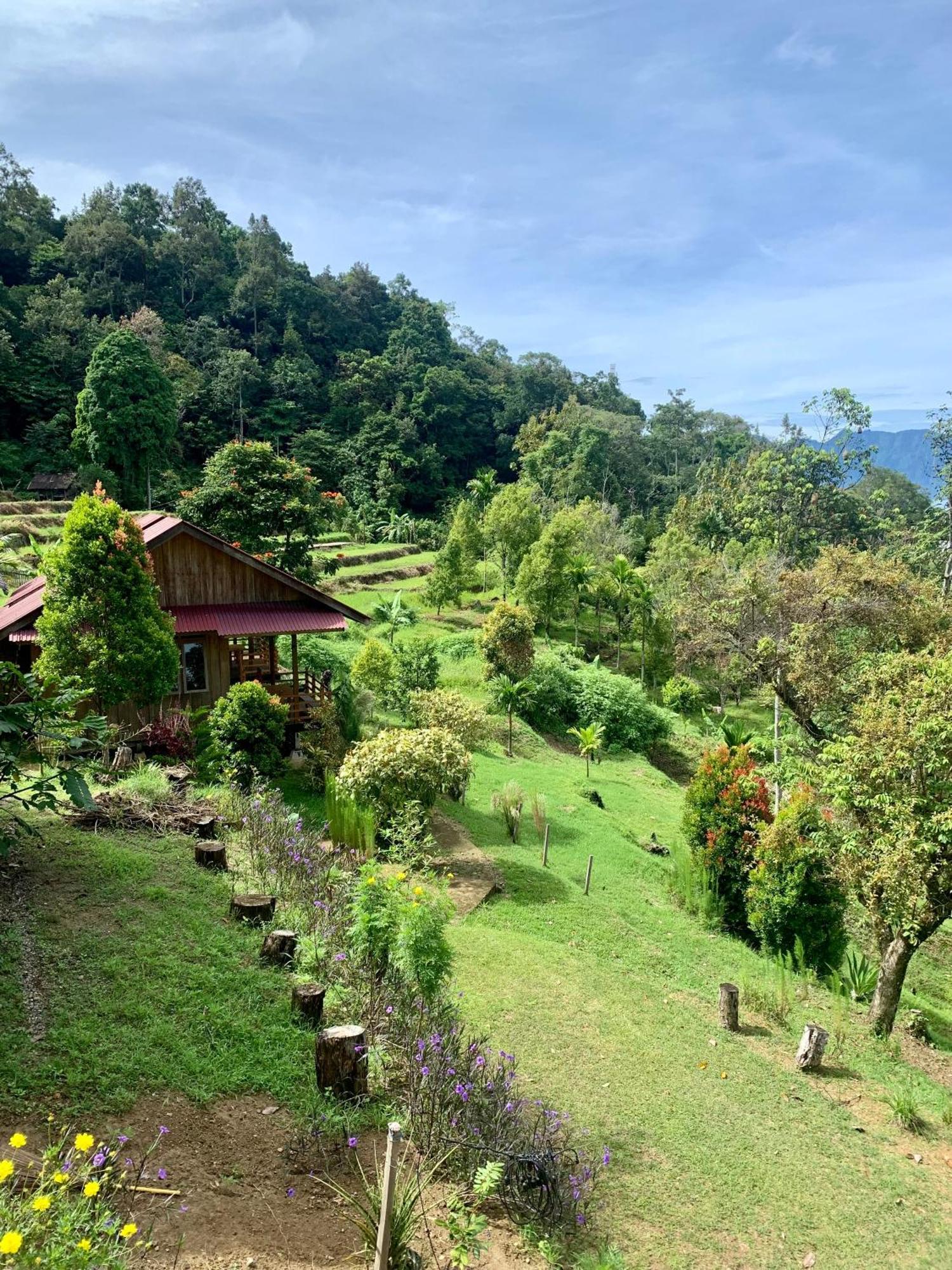 Bagoes View Cottages Maninjau Kültér fotó
